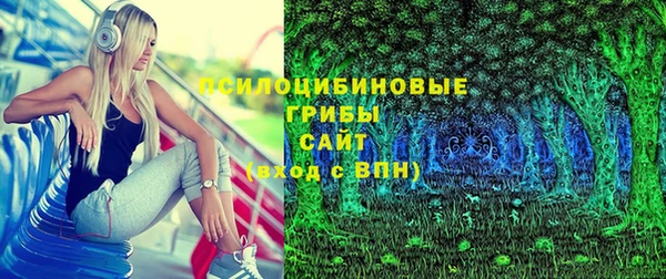 твердый Няндома