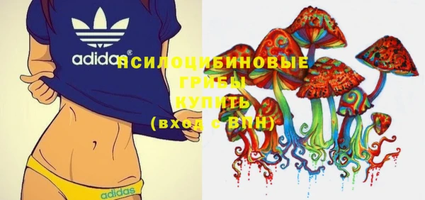 твердый Няндома