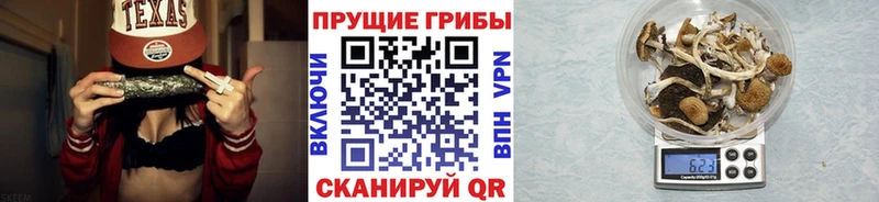 shop какой сайт хочу наркоту Чекалин Галлюциногенные грибы мухоморы